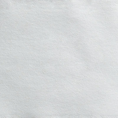 envision Jumbo Size Cored Roll Toilet Tissue -Case of 8