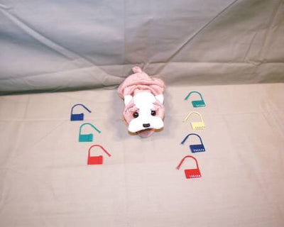 Snap-Lok Tamper Evident Seal -Pack of 100