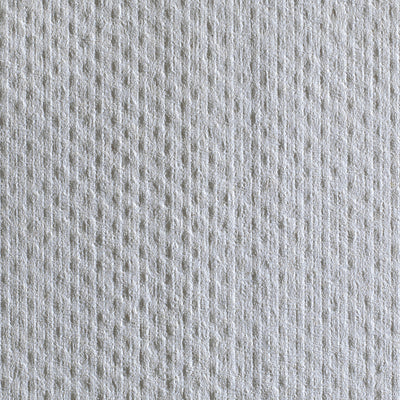 Pacific Blue Basic Paper Towel, 240 per Pack -Case of 10