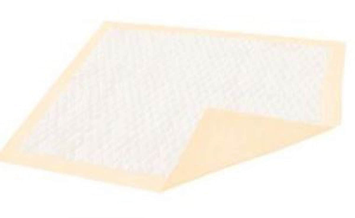 Dignity Ultrashield Plus Underpad, 30 X 36 Inch - 987179_PK - 1
