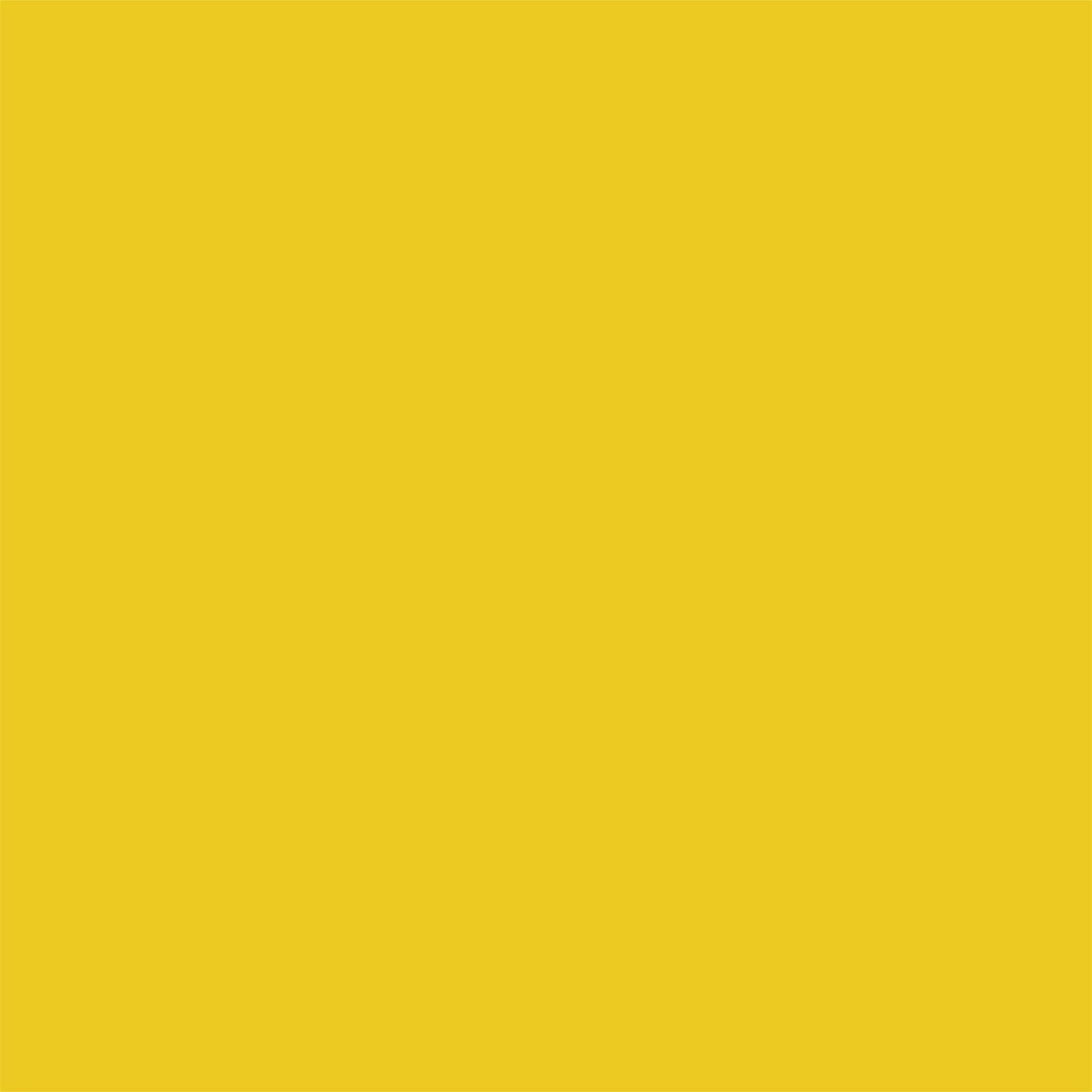 Proscope Disposable Stethoscope, Binaural, Yellow, 22" -Case of 50