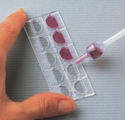 Kova Glasstic Slide 10 Urinalysis Microscope Slide - 152653_PK - 1