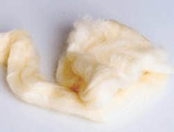 McKesson Lamb's Wool - 1111100_EA - 1