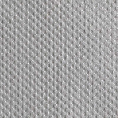 Pacific Blue Basic Paper Towel, 240 per Pack - 358643_PK - 19