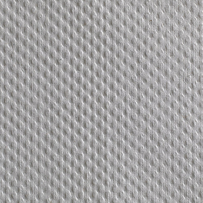 Pacific Blue Basic Paper Towel, 240 per Pack - 358643_PK - 19