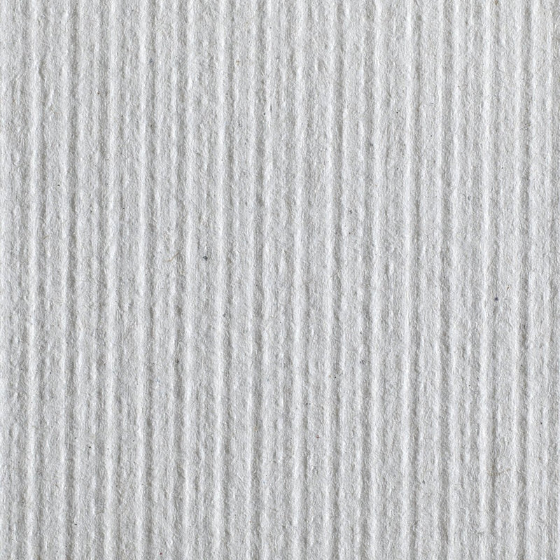 Pacific Blue Basic Paper Towel, 240 per Pack - 366370_RL - 43