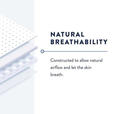 Prevail Daily Pant Liners - 747198_CS - 9