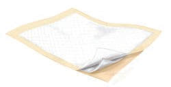 Wings Plus Underpads, Disposable, Heavy Absorbency, 23 x 36 Inch - 545409_BG - 1
