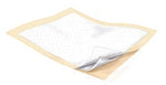 Wings Plus Underpads, Disposable, Heavy Absorbency, 23 x 36 Inch - 545409_BG - 1